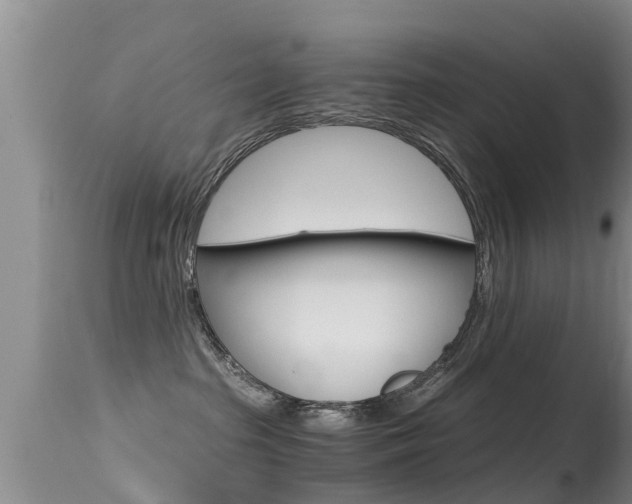 X0000115480285200911061032