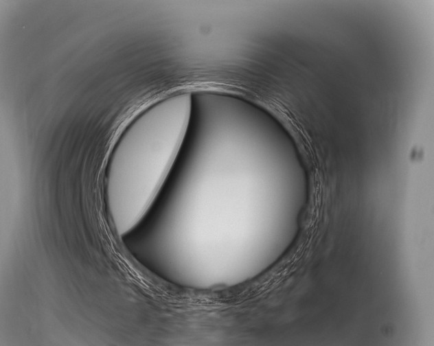 X0000115480289200911061031