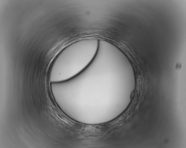 X0000115480290200911061031