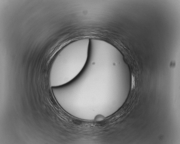 X0000115480291200911061031
