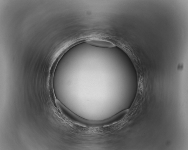 X0000115480292200911061031