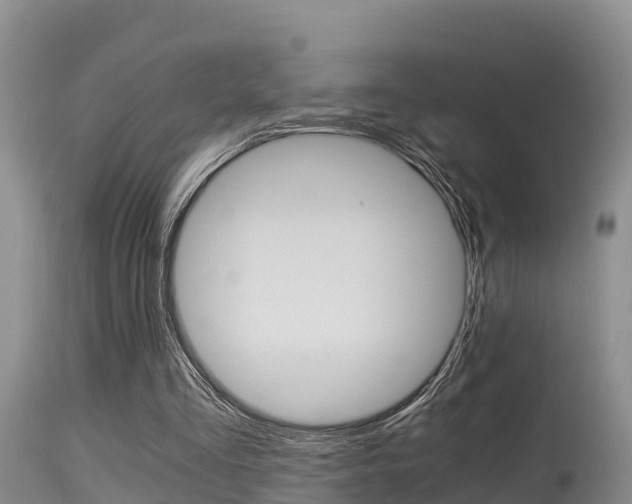 X0000115480293200911061031