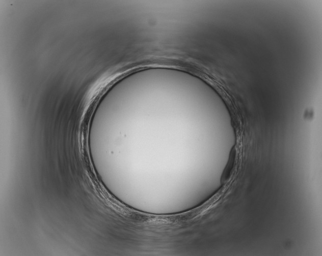 X0000115480294200911061031