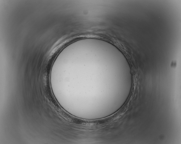 X0000115480295200911061031