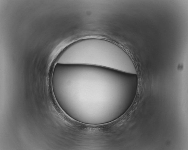 X0000115480296200911061031