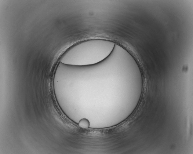 X0000115480298200911061031