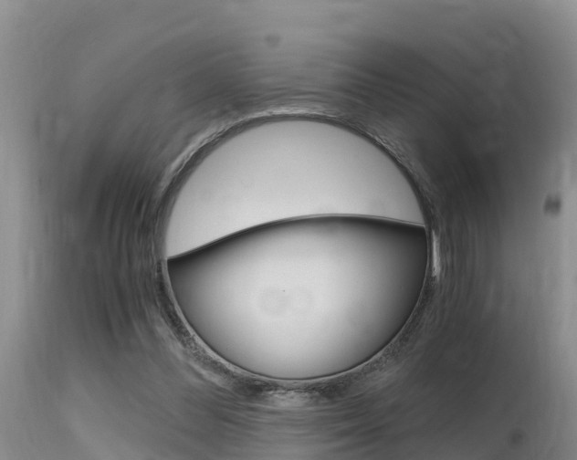 X0000115480300200911061031