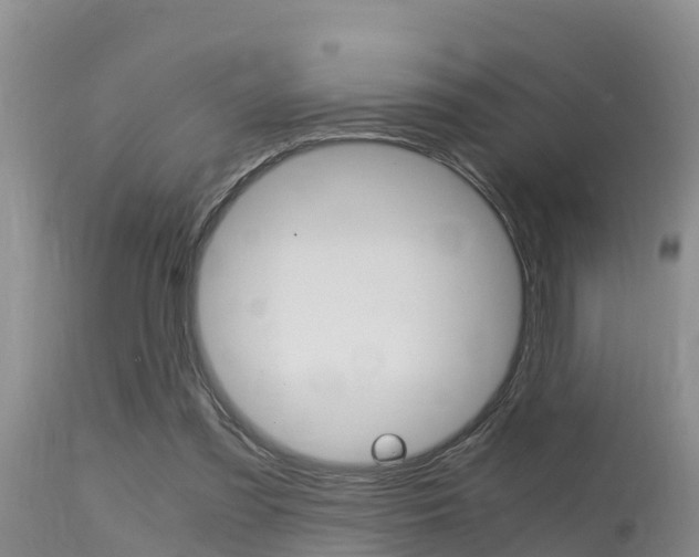 X0000115480301200911061031
