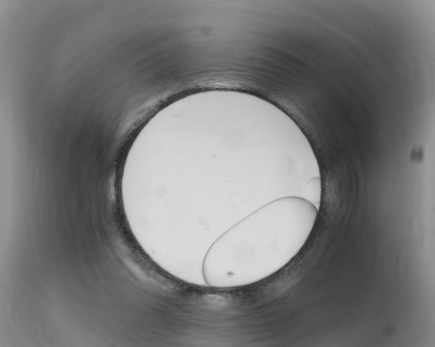 X0000115480302200911061031