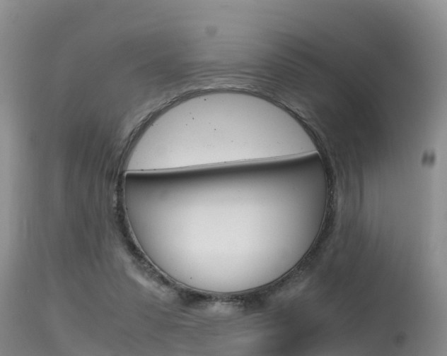 X0000115480303200911061031
