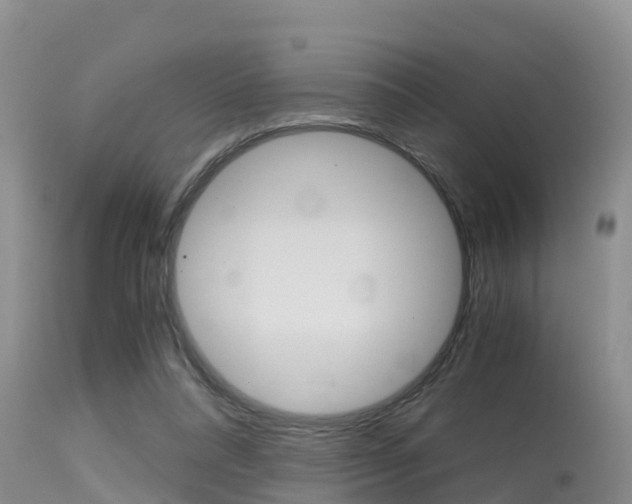 X0000115480304200911061031
