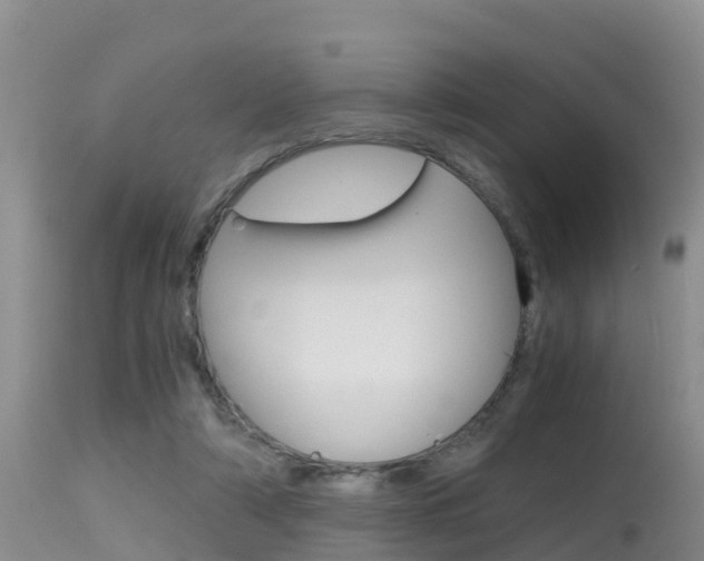 X0000115480306200911061031