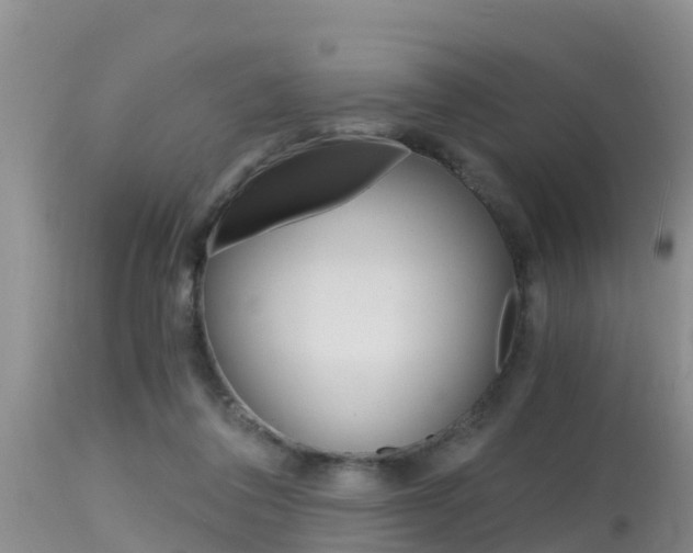 X0000115480308200911061031