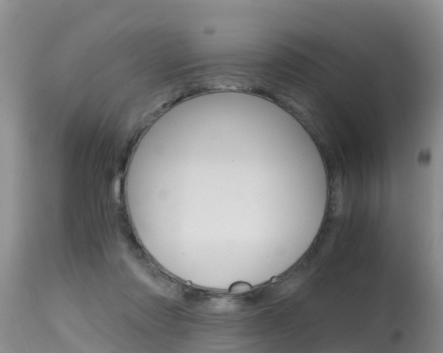 X0000115480310200911061031