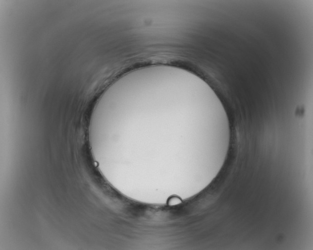 X0000115480311200911061031