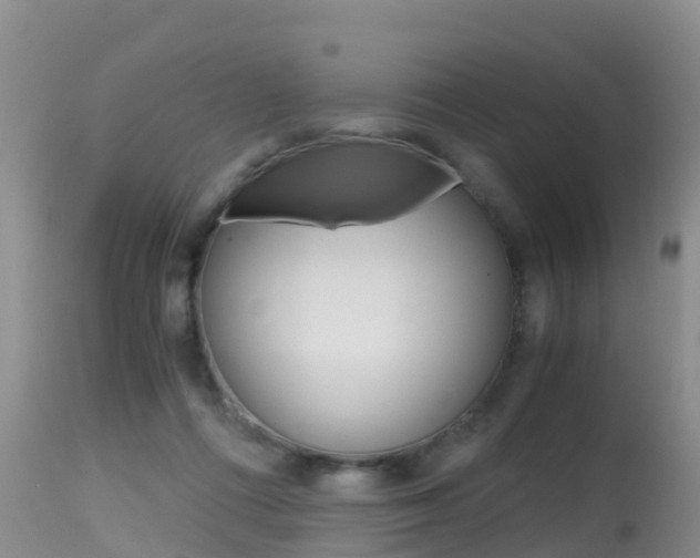 X0000115480312200911061031