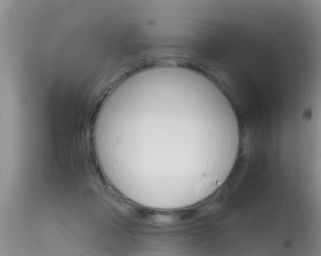 X0000115480314200911061031
