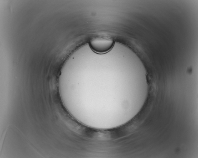 X0000115480317200911061030