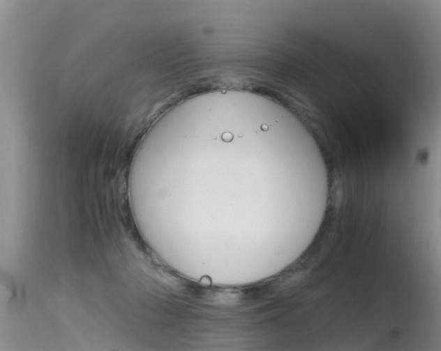 X0000115480318200911061030