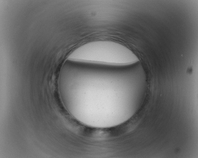 X0000115480319200911061030