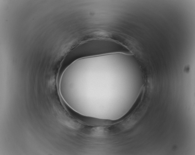 X0000115480320200911061030