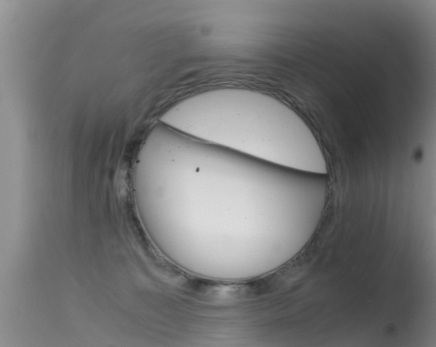 X0000115480323200911061030