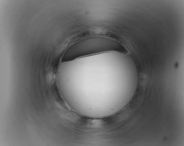 X0000115480324200911061030
