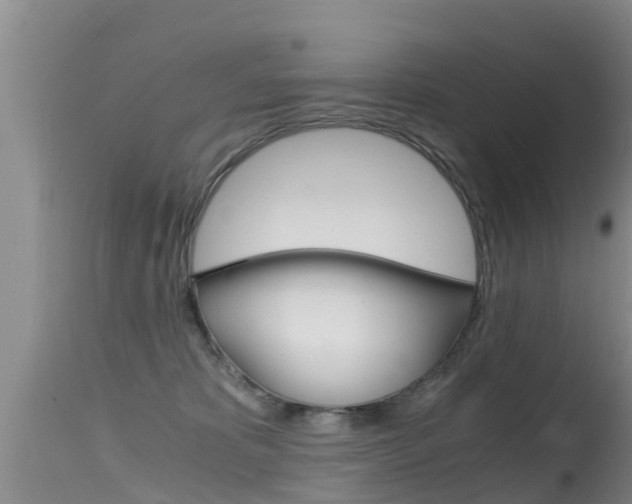 X0000115480325200911061030