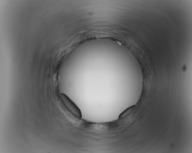 X0000115480327200911061030