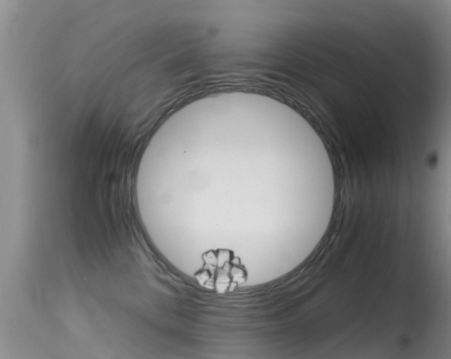 X0000115480328200911061030