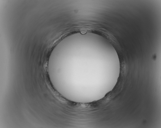 X0000115480329200911061030