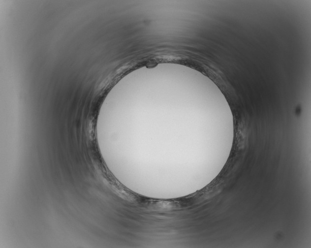 X0000115480330200911061030