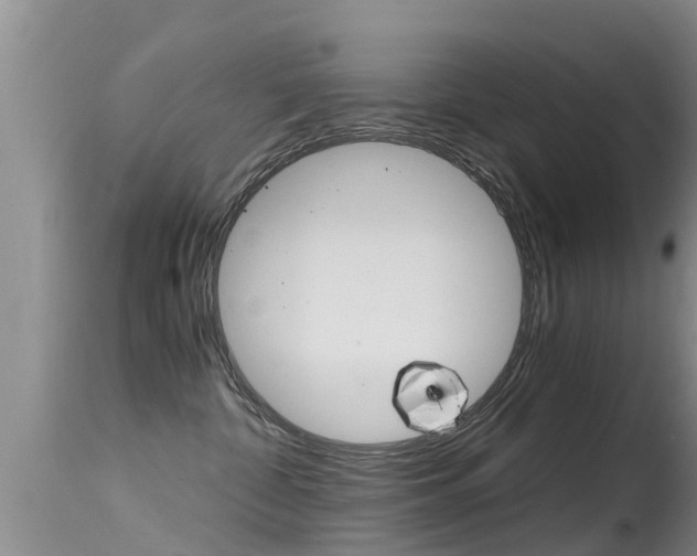 X0000115480332200911061030