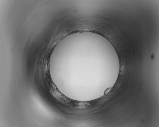 X0000115480334200911061030