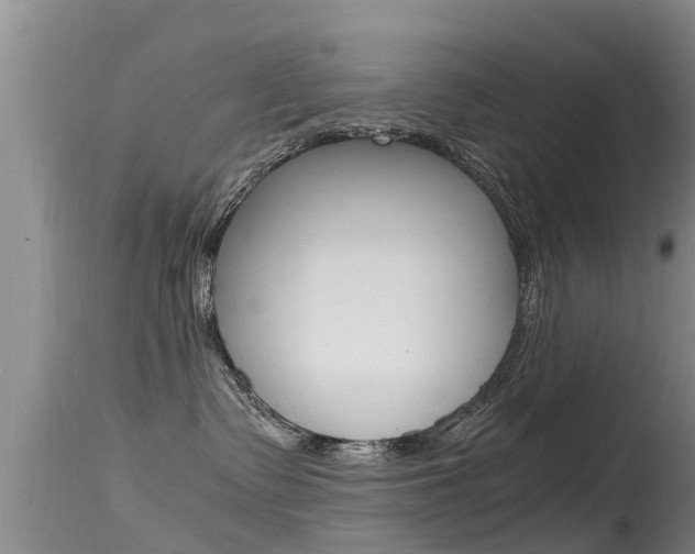 X0000115480335200911061030