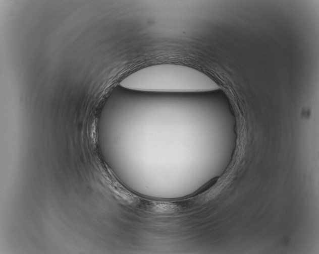 X0000115480336200911061030