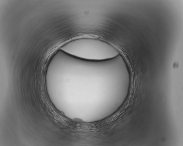 X0000115480337200911061029