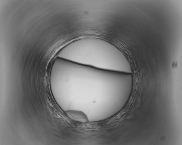 X0000115480338200911061029