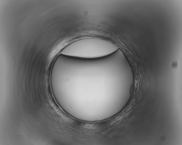 X0000115480341200911061029