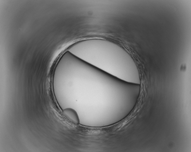 X0000115480342200911061029