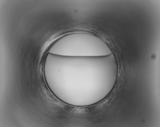 X0000115480343200911061029