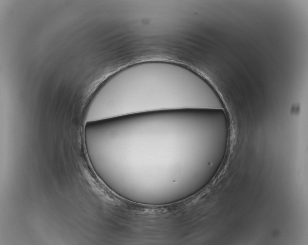 X0000115480345200911061029