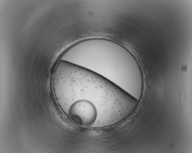 X0000115480346200911061030