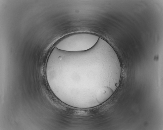 X0000115480347200911061030