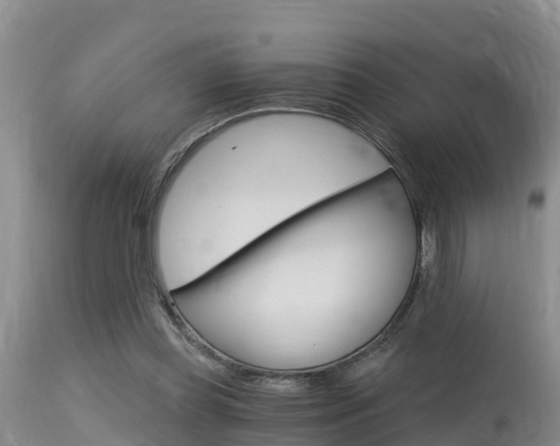 X0000115480349200911061030