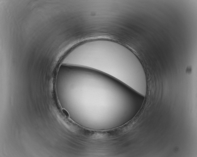 X0000115480350200911061030