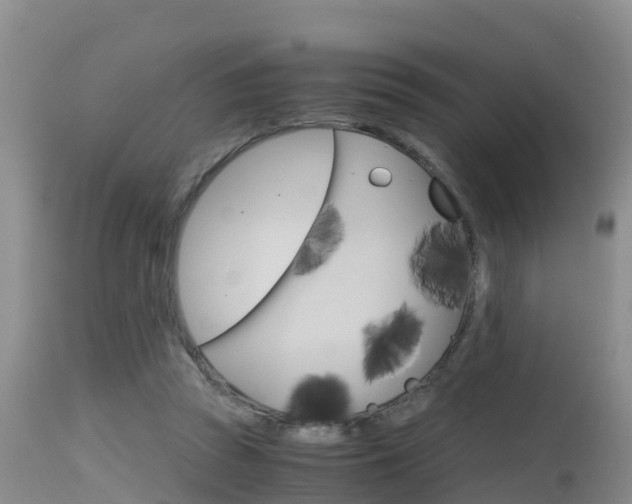 X0000115480353200911061030