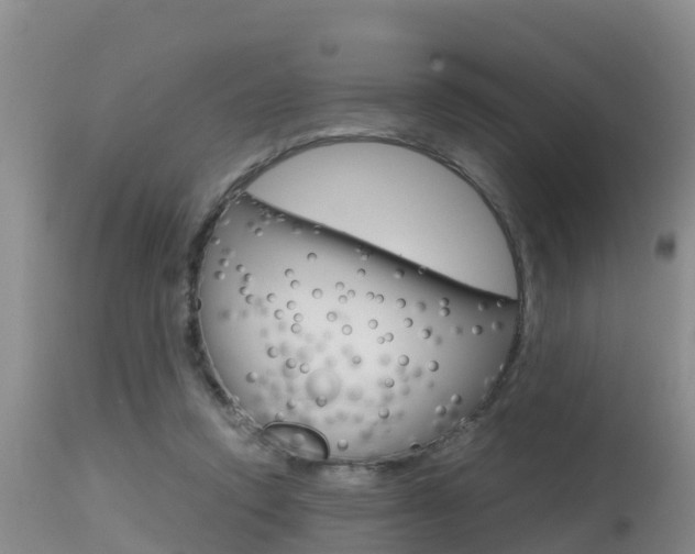 X0000115480354200911061030