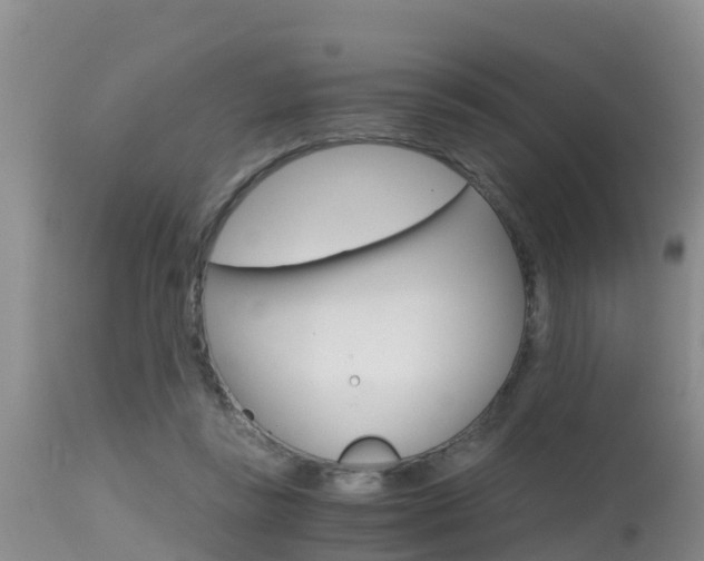 X0000115480355200911061030