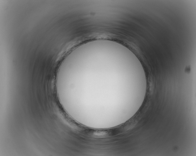 X0000115480357200911061030